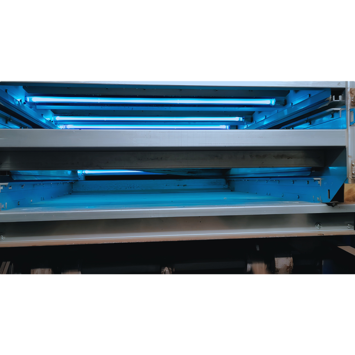  | Professional Solutions for UV-C disinfection Light Progress 